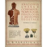 Anatomia umana e comparata – morfologia – fisiologia e anatomia vegetale